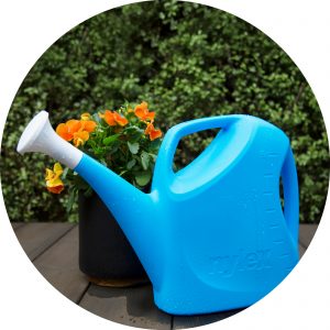 Watering Cans