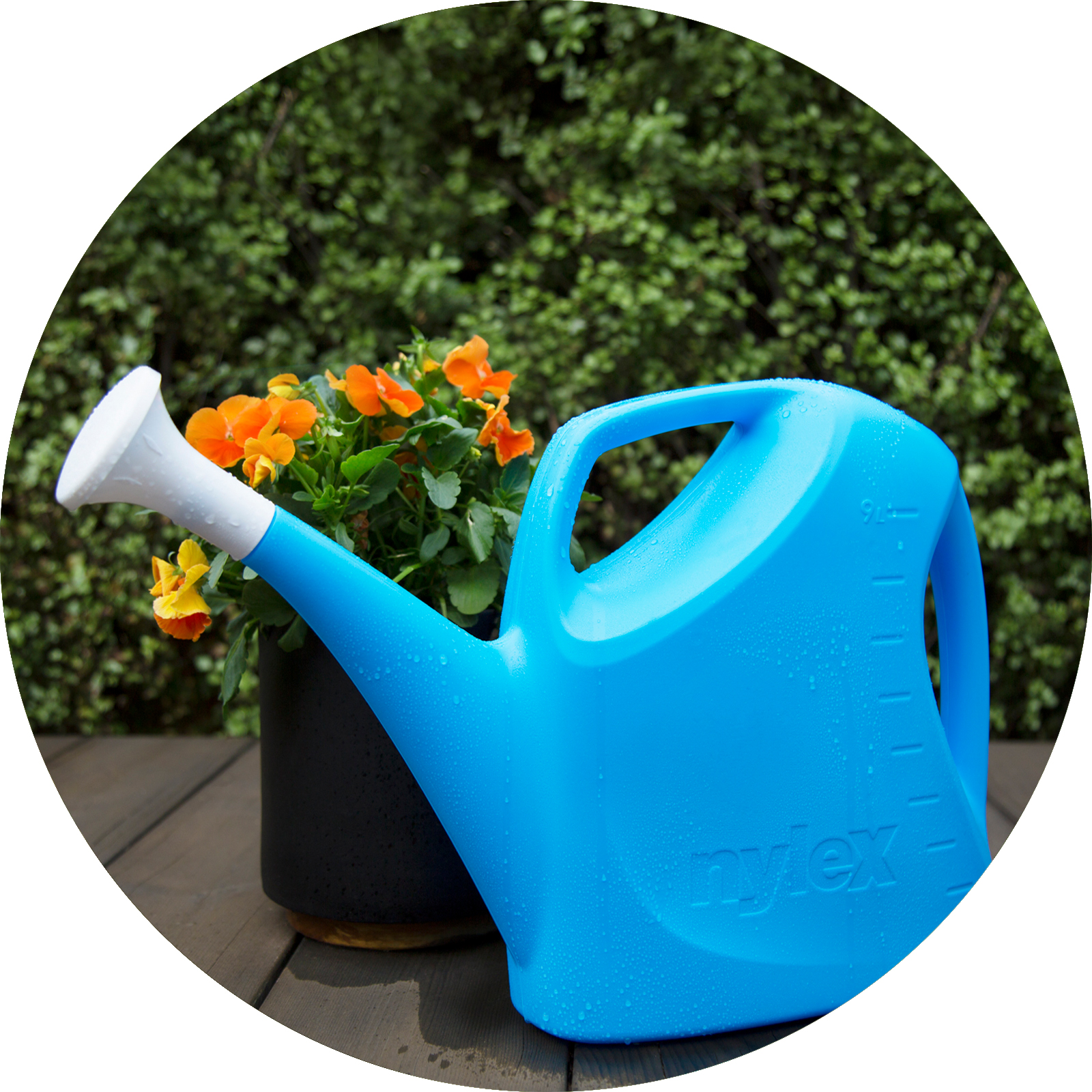 Watering Cans