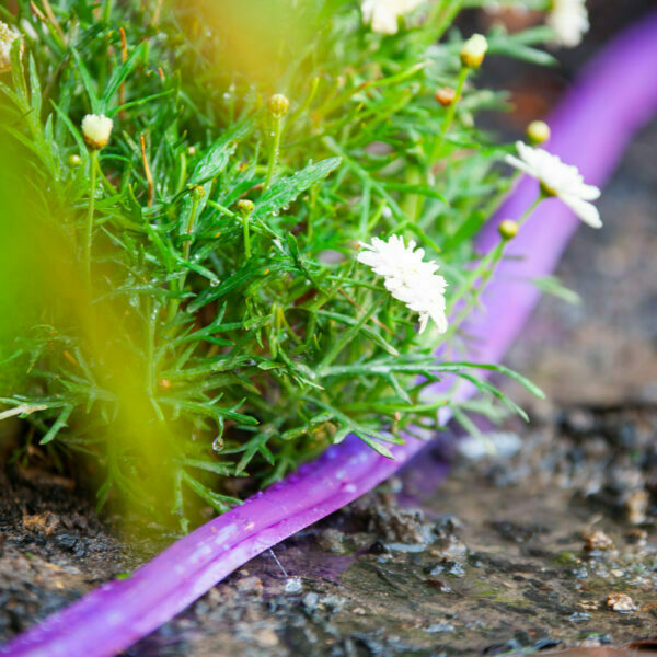 Recycled Water Soaker Hose 15m - Image 2
