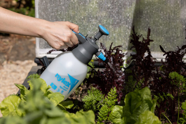 Nylex 2L Hand Sprayer - Image 4
