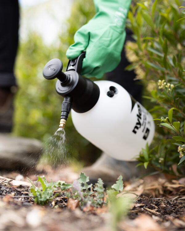 Nylex 2L Heavy Duty Hand Sprayer - Image 3