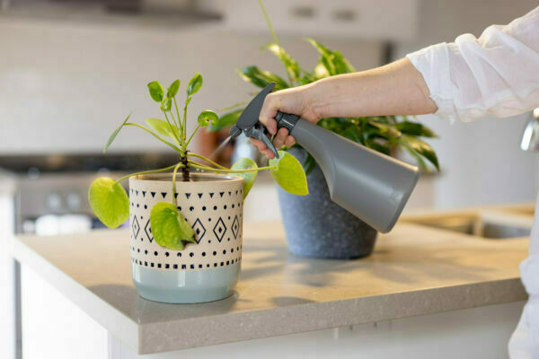 Urban 750ml Trigger Sprayer - Image 3