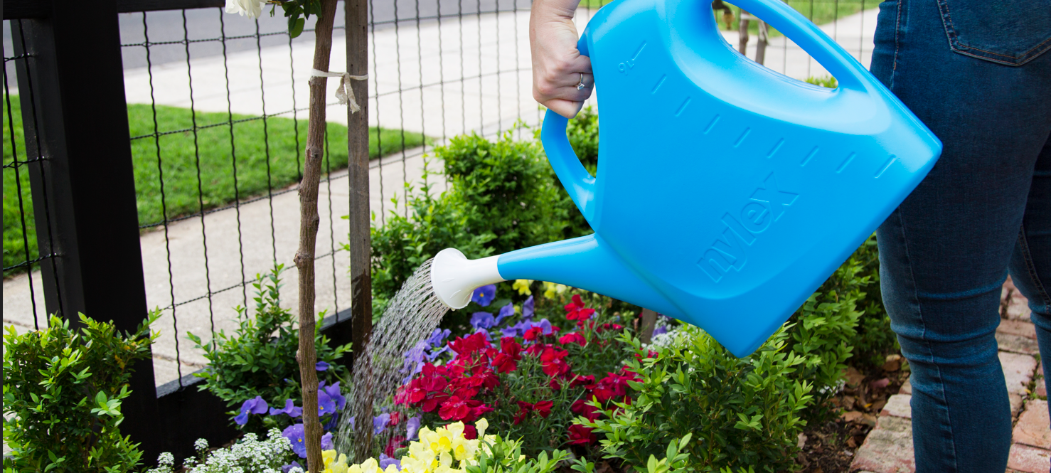 Hand Watering: A Personal Touch for Healthy Potted Plants and Small Garden Areas
