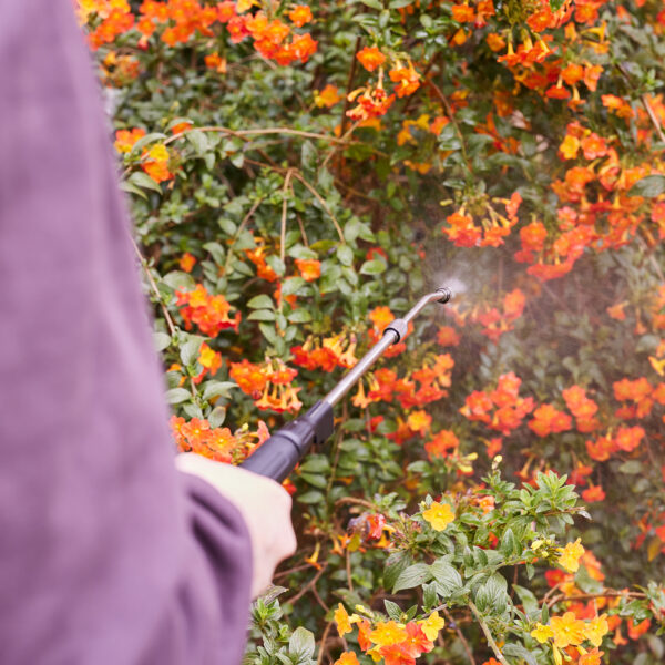 8L Rechargeable Sprayer - Image 5