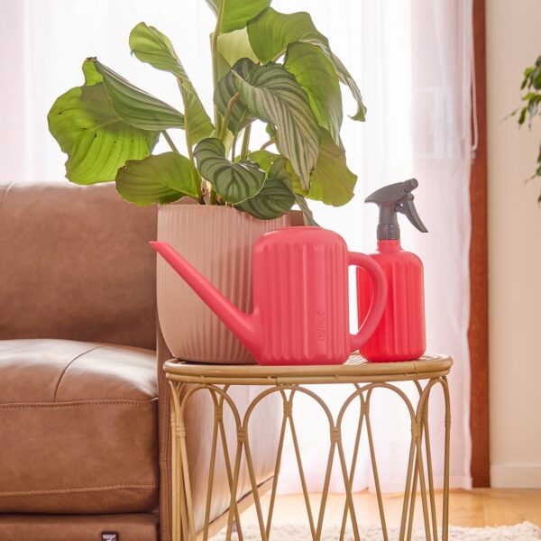 Alpine 1.5L Watering Can Sunset Coral - Image 3
